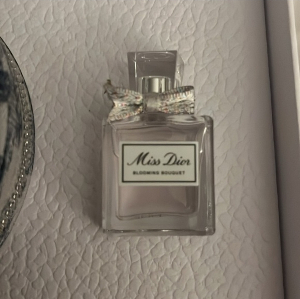 Dior Around The World Jewelery Travel Case - Picture 3 of 4